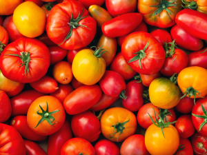 Sezon na POMIDORA! 🍅